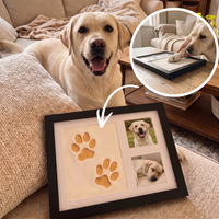 The Pawtrait Kit — Clay Edition