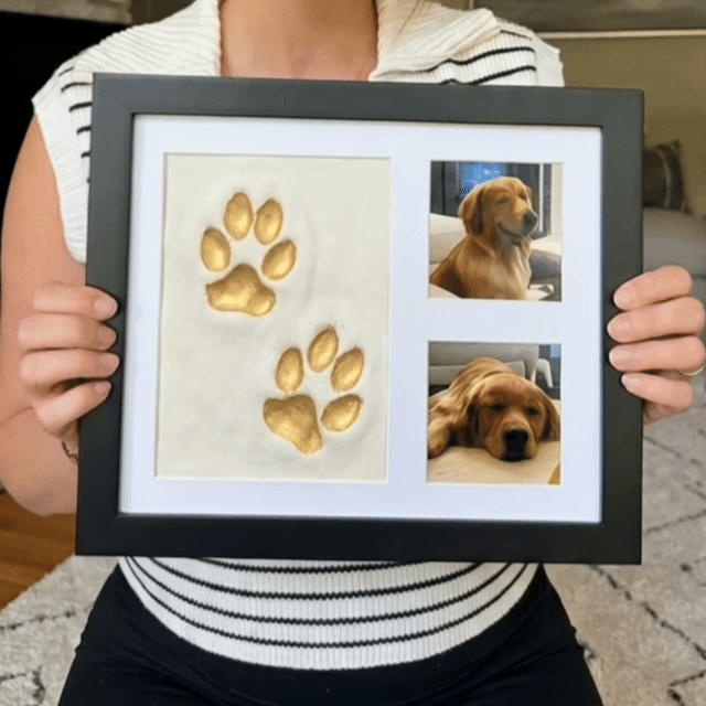 The Pawtrait Kit — Clay Edition